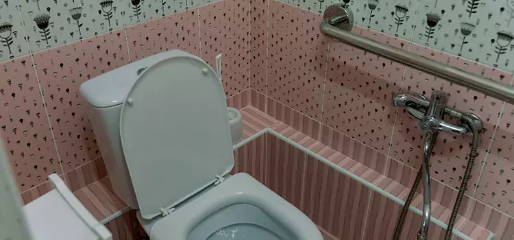 Meeting Diverse Needs With Accessible Restroom Solutions in Manhattan Beach, CA